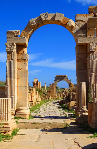 leptis3